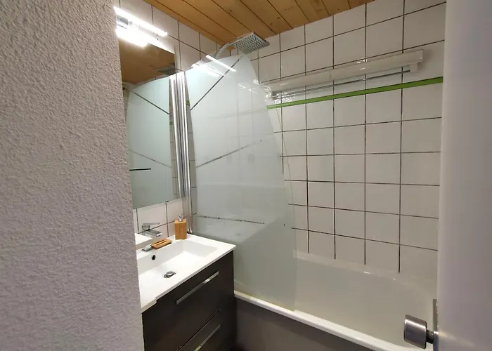 Apartamento 5 P Belle Plagne Skis Aux Pieds La Plagne